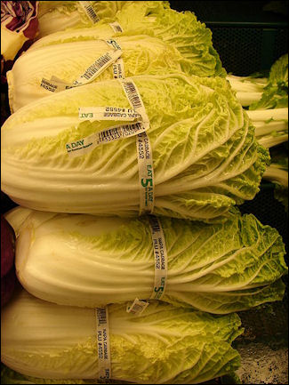 20111101-Wikicommons  Brassica rapa.jpg